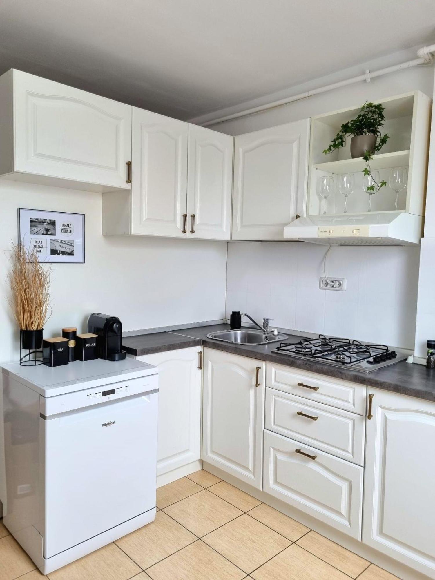 Iulius Town Charm Cozy Apartments Timişoara Eksteriør billede