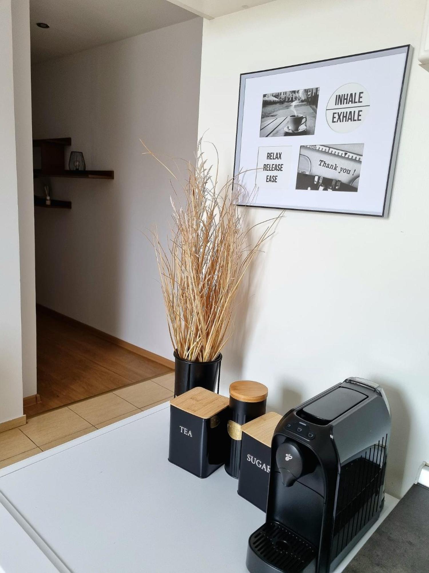 Iulius Town Charm Cozy Apartments Timişoara Eksteriør billede