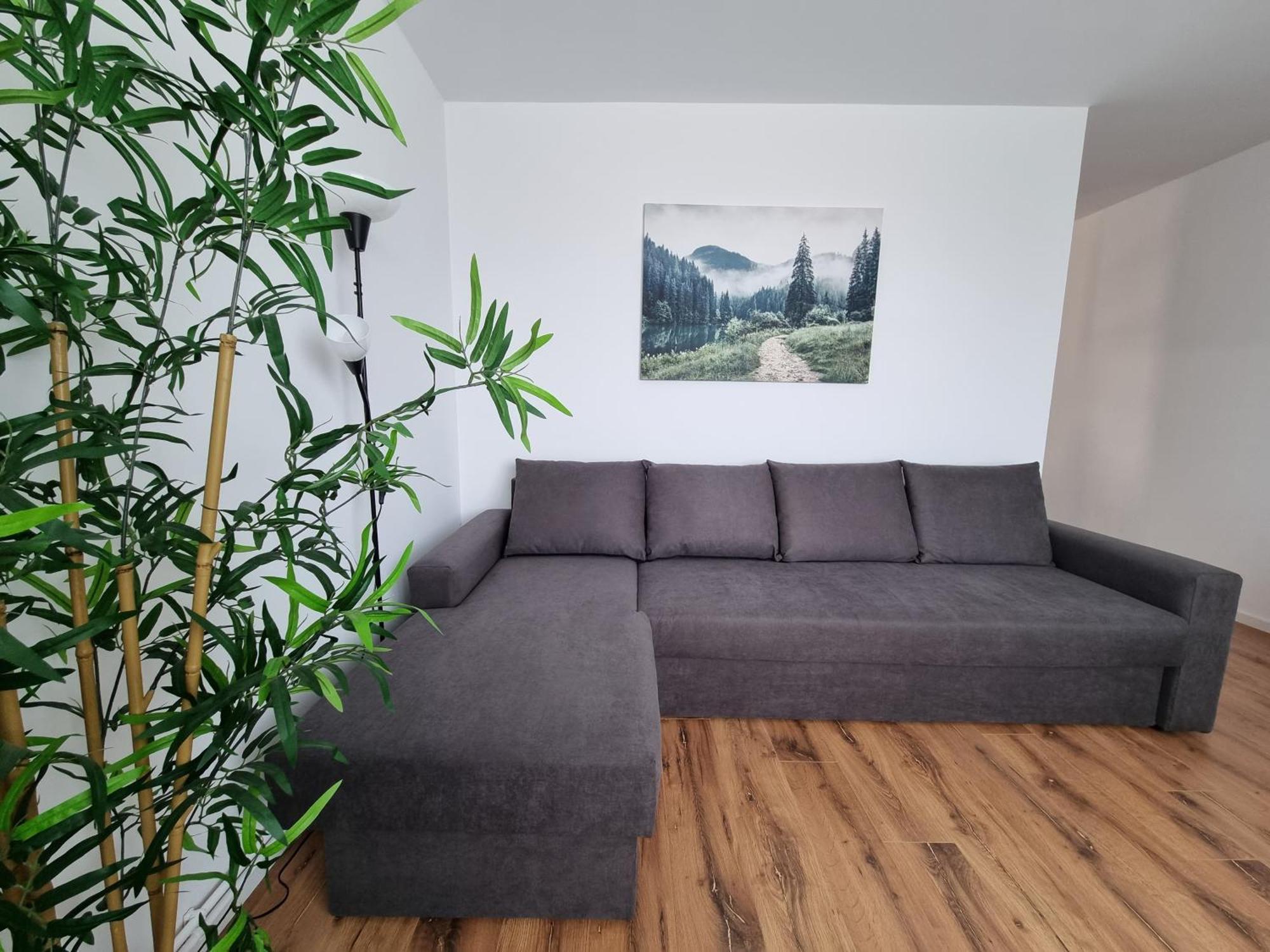 Iulius Town Charm Cozy Apartments Timişoara Eksteriør billede